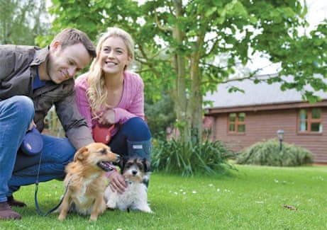 Couple stroking their dogs on holiday