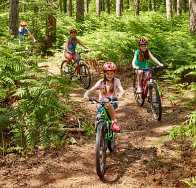 Family cycling through sunny woodland