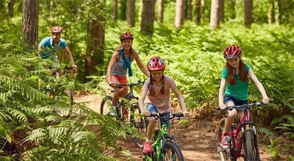 Family enjoying a bike ride together through the woodland