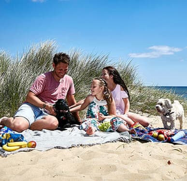 Family enjoying picnic on beach in summer