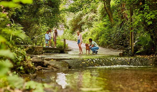 Pet friendly school summer holidays